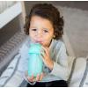 imageBoon Swig Insulated Silicone Straw Sippy Cup  Flip Top Spill Proof Toddler Straw Cups  Baby and Toddler Feeding Supplies  Baby Travel Essentials  9 Oz  MintMint